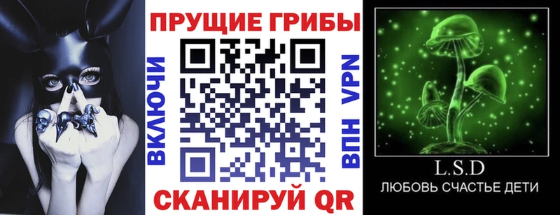 Псилоцибиновые грибы прущие грибы  мориарти наркотические препараты  Кудымкар  KRAKEN вход 