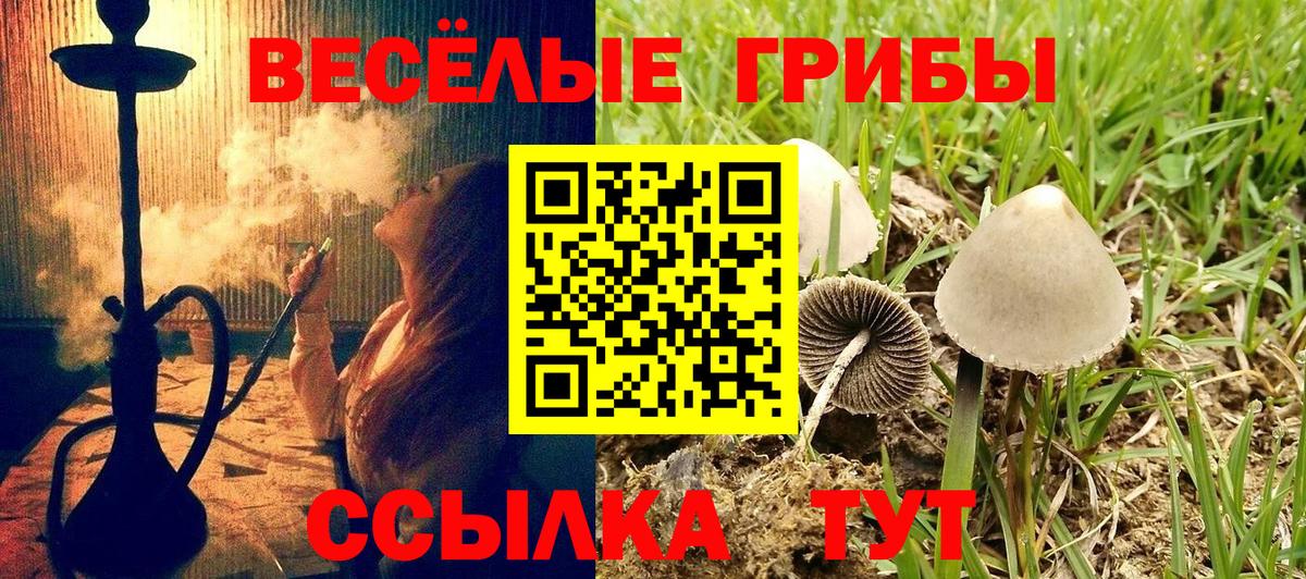 Галлюциногенные грибы Magic Shrooms  сколько стоит  Кудымкар 