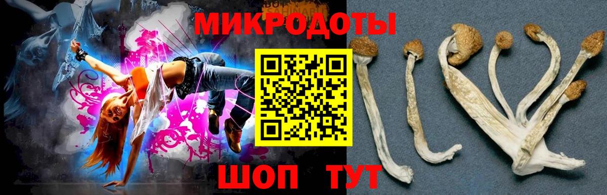 Кудымкар  Галлюциногенные грибы прущие грибы  Вход с VPN 