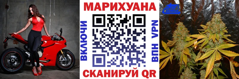 наркотики Кудымкар omg ссылки Шишки марихуана планчик